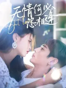 爱恨交织的命运悲歌：《无情何必怨相逢》，一段乱世情缘的无奈与挣扎