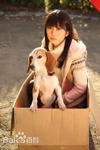 《春之幻》：迷离梦境与残酷现实的交织，一场关于青春与成长的残酷童话