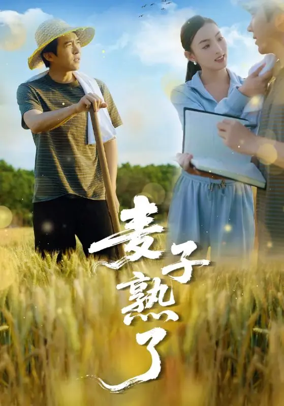 《麦子熟了》影评：田埂上的诗意与乡愁，一曲关于土地与人性的动人挽歌