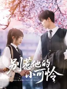 《别惹他的小可怜》影评：黑帮复仇爽剧，小可怜爆发，反转刺激！