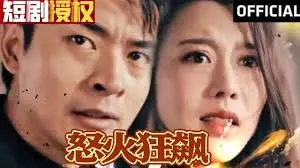 《怒火狂飙》：硬汉复仇，肾上腺素飙升！谁能阻止这场怒火？